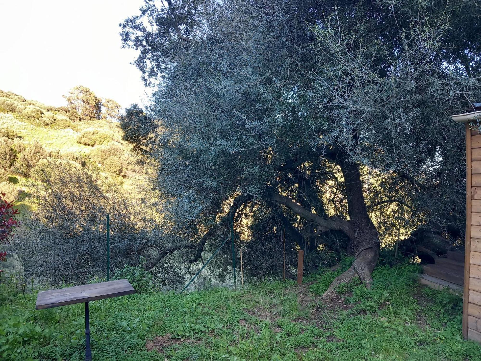 Villa A Croce Alata Exteriér fotografie
